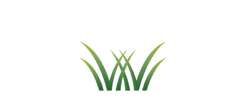 Luxe Lawns | Arizona's #1 Artificial Turf & Hardscapes Installer